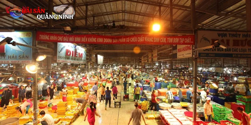 Chợ đầu mối hải sản đông lạnh Những chợ đầu mối hải sản đông lạnh lớn tại Việt Nam