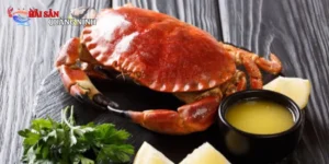 cua nâu Nauy đông lạnh