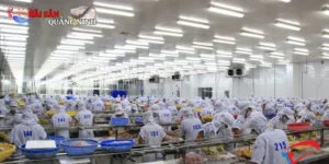 kho đông lạnh hải sản