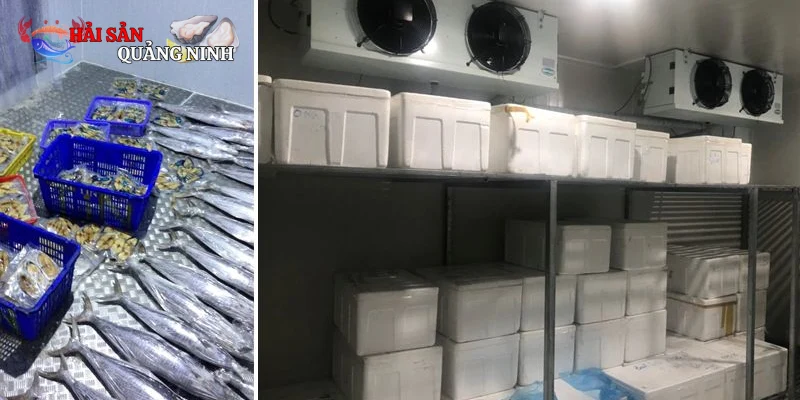 kho đông lạnh hải sản Tiêu chuẩn vệ sinh an toàn và hệ thống phòng chống rủi ro