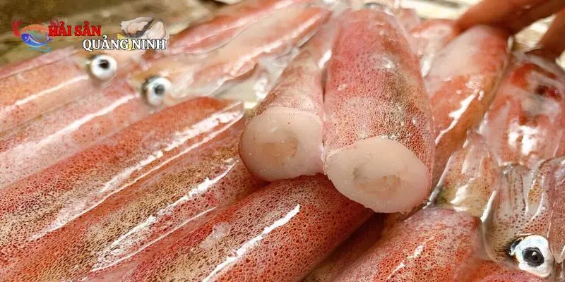 Mực tươi Mực tươi