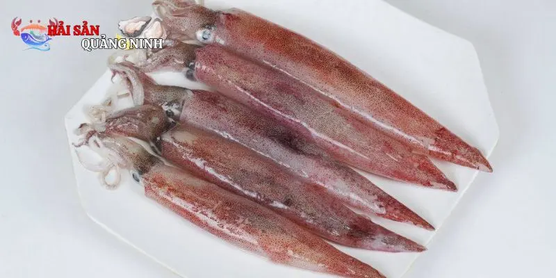 Mực tươi Mực tươi