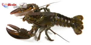 Tôm Alaska đông lạnh