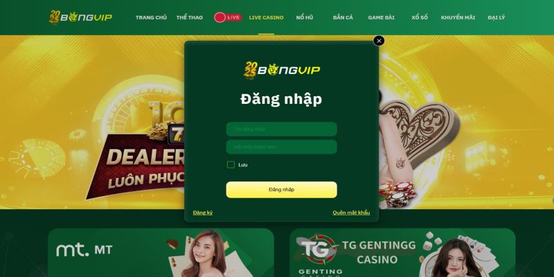 Hướng Dẫn Đăng Nhập Bongvip Và Cách Khắc Phục Lỗi Phổ Biến