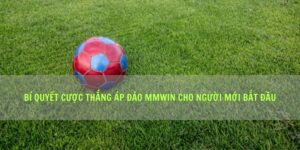 Bí Quyết Cược Thắng Áp Đảo Mmwin Cho Người Mới Bắt Đầu